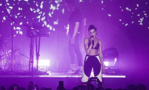 Dua Lipa演唱会主办方回应打人事件：已依法处罚