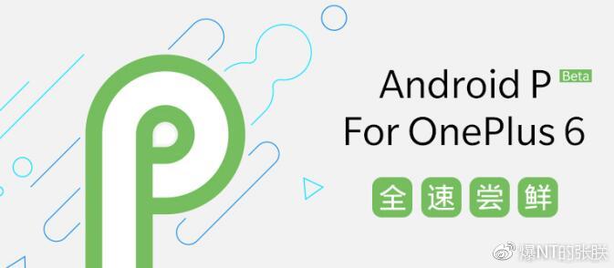 一加6将首批适配Android P Beta版