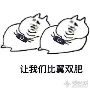 双