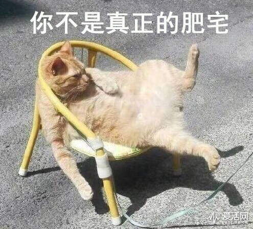 miao