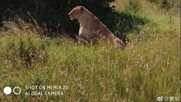 雷军晒小米MIX 2S肯尼亚草原样张：猎豹捕食斑马震撼