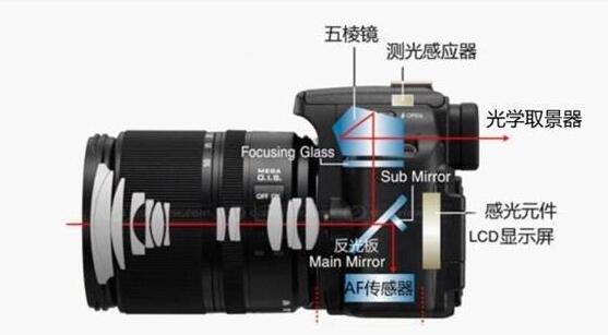 微单十年 井喷的全画幅革了谁的命？