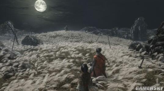 《只狼：影逝二度》Steam特别好评！玩家大赞：死字都要不认识了