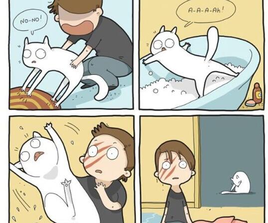 国外插画师绘制“猫的日常” 都是猫奴的快乐所在