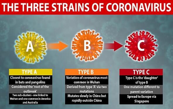 专家称新冠病毒突变：在全球变异成3种毒株