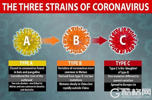 专家称新冠病毒突变：在全球变异成3种毒株