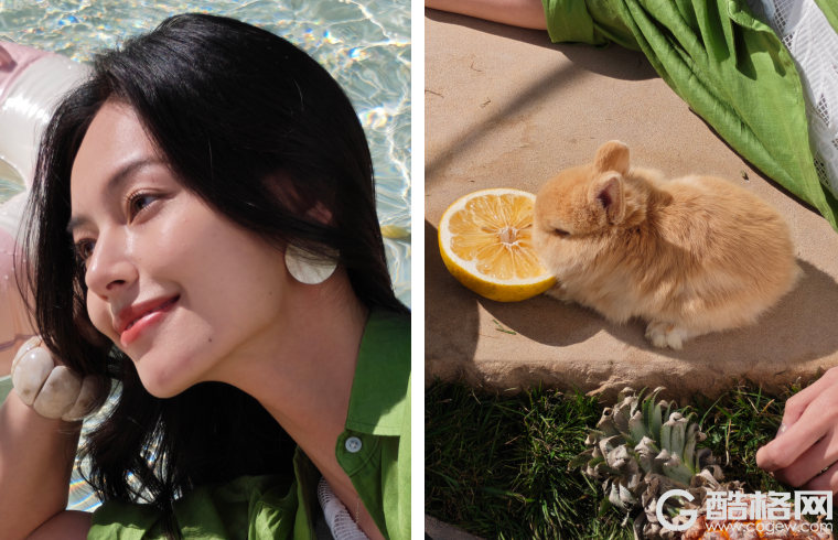 折叠唯一「哈苏 2 亿超清四摄」，OPPO Find N6 引领折叠旗舰体验跃迁